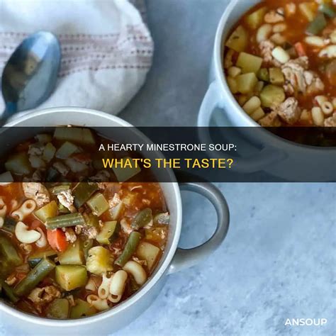 A Hearty Minestrone Soup: What's The Taste? | AnSoup