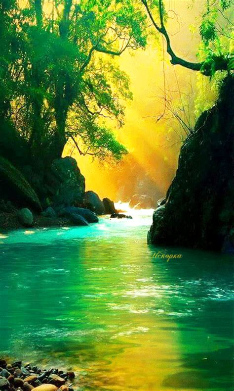 с помощью GIFER | Nature photos, Beautiful nature, Nature photography