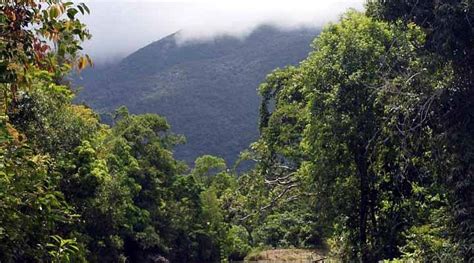 Magdiwang Tourism (2023): Best of Magdiwang, Philippines - Tripadvisor