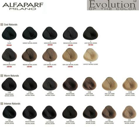Buy Alfaparf Evolution of the Color Permanent Hair Color, 2 oz. (Choose ...