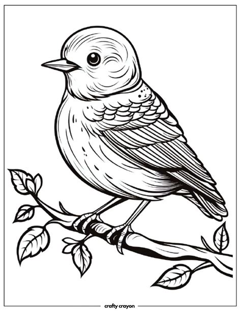 20 Beautiful Bird Coloring Pages For Kids And Adults (Free PDF Printables)