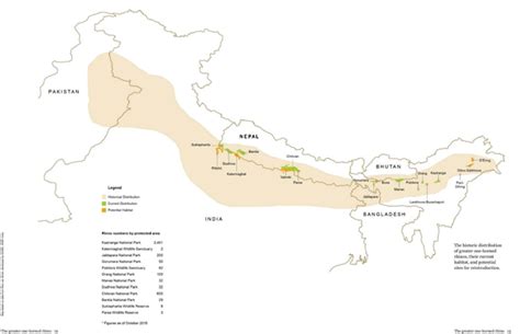 Counting rhinos - GS SCORE