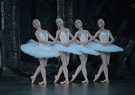Four Little Swans | Swan lake ballet, Swan lake, Dance photography