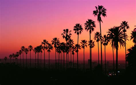 4k Los Angeles Sunset Wallpapers - Wallpaper Cave