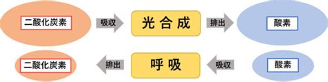 Learn OS Module Python From Beginning に対する画像結果