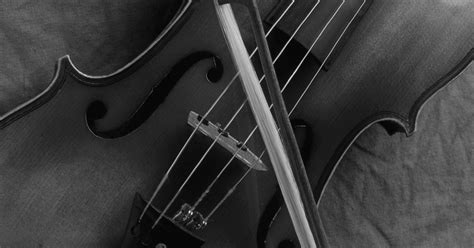 Image result for Instrumental Types