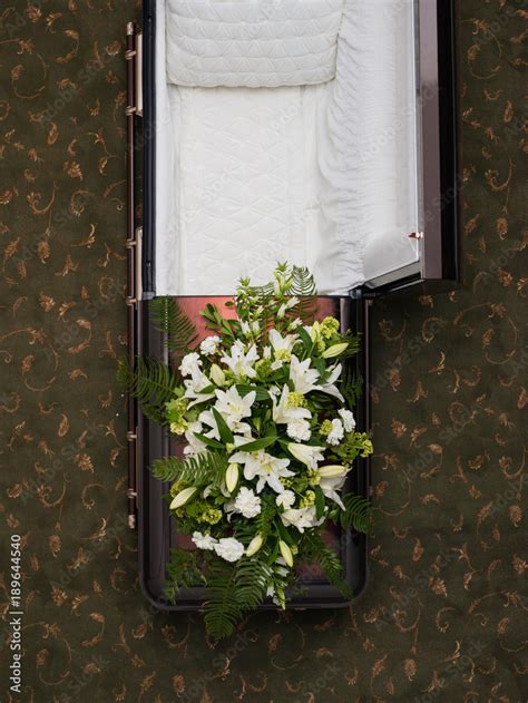 Overhead view of open empty coffin. Stock Photo | Adobe Stock