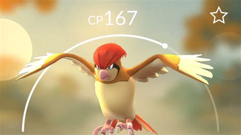 Image result for Pidgeotto Evolution Levels