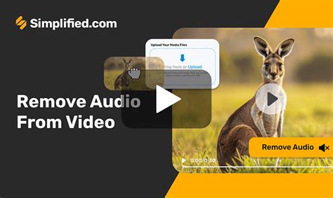 Image result for Remove Audio From Video Software