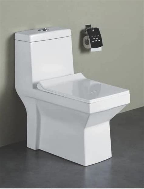 PARRYWARE Entice Range One Piece Floor Mounted Western Commode (White ...