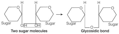 SATHEE: Biomolecules