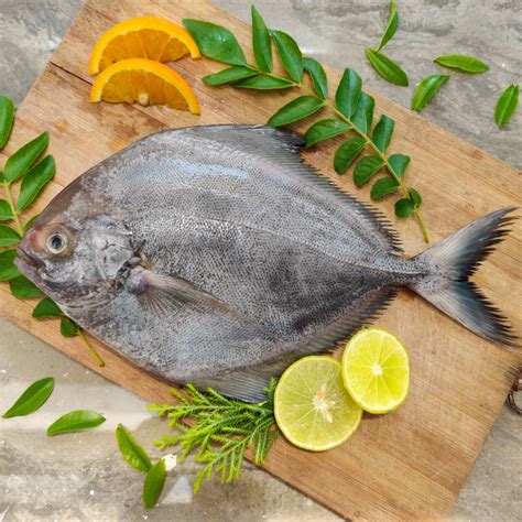 Black Pomfret whole – Bombay Fish Co.