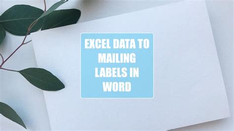 Image result for How to Create Labels Using Excel