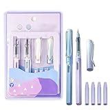 3 Best Bic Fountain Pens 2024 | There's One Clear Winner | BestReviews ...