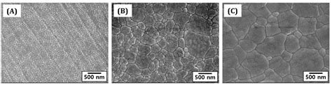 Digital Light Processing of Zirconia Suspensions Containing ...