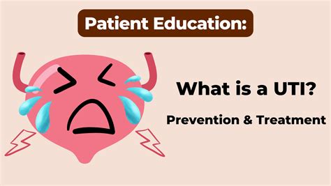 Urinary Tract Infection (UTI) Prevention -  Urinary Tract Infection (UTI) - Urology Channel