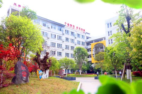 广州黄埔中黄外国语小学2023年学费标准