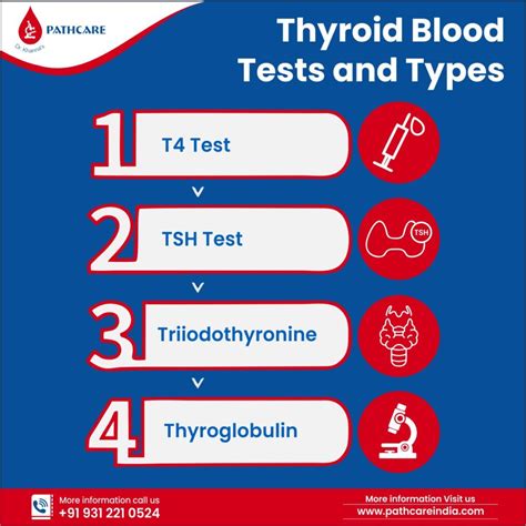 Thyroid Gland Hormones And Thyroid Function Tests In Me