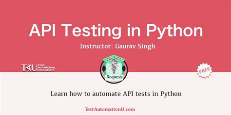 api testing python course 的图像结果