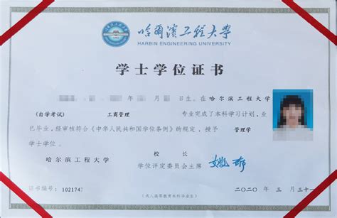 哈尔滨商业大学会展管理自考本科毕业证 - 网育网（北京）国际教育科技发展中心