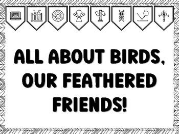 ALL ABOUT BIRDS, OUR FEATHERED FRIENDS! Grade 1 Science Bulletin Board ...