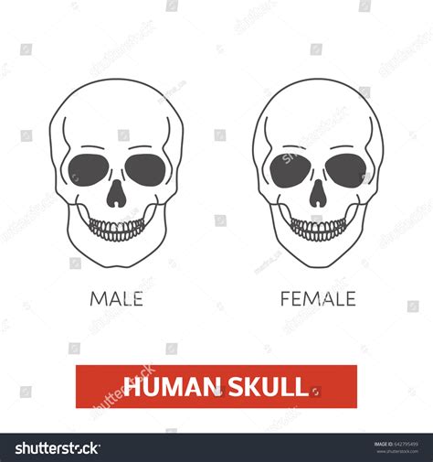 Image result for GUI Example Menu Options