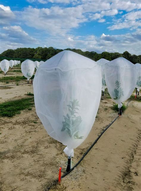 Image result for Cladding Insect Barrier