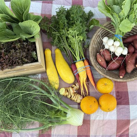 Farm Fresh Organics 的图像结果