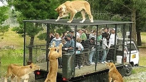 Top 10 Best Zoos In The World | eBlogfa.com