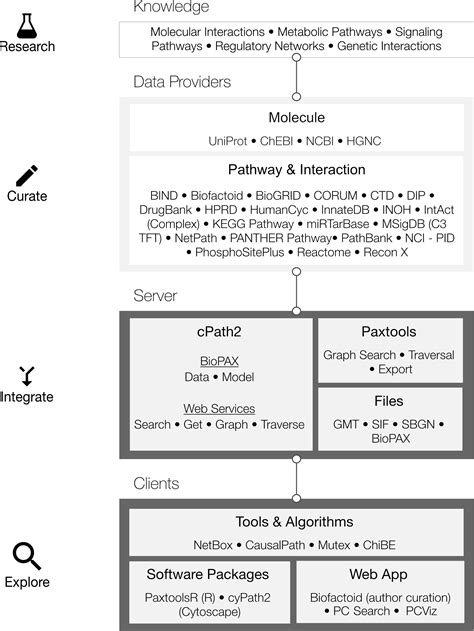 Image result for Data Pathway