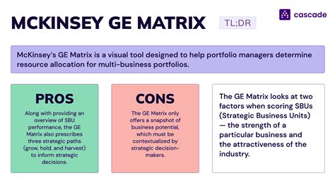 McKinsey GE Matrix: Importance & How To Use It (2025)