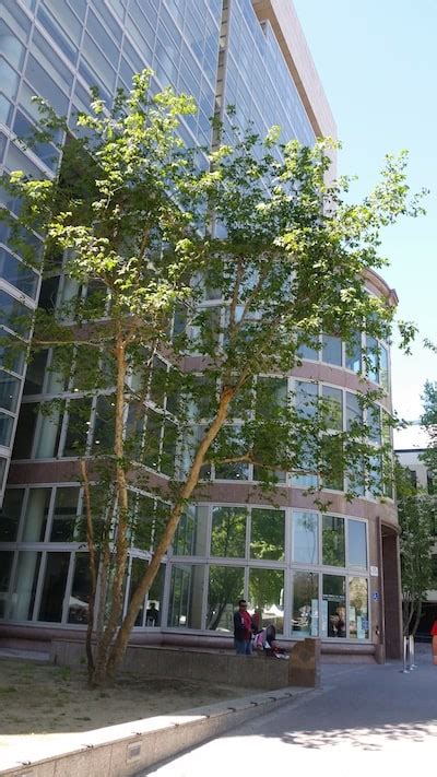 Van Nuys Superior Courthouse West :: Van Nuys Criminal Defense Lawyers ...