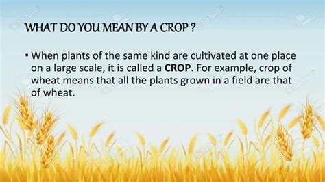 Image result for Class 8 Science Chapter 1 Ppt Download