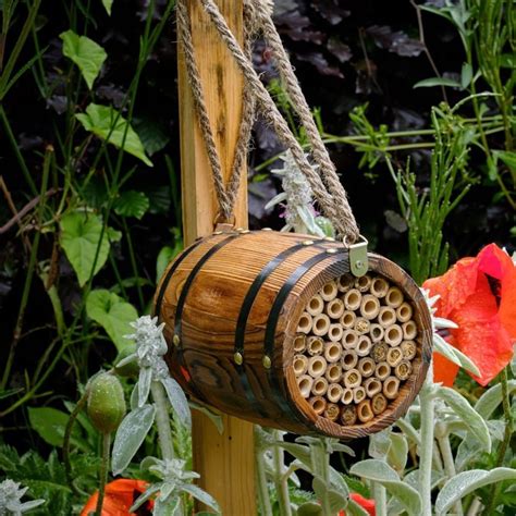 Buy Bee barrel: Delivery by Waitrose Garden
