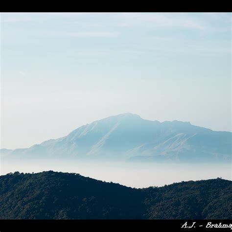 BRAHMAGIRI WILDLIFE SANCTUARY (2026) All You Need to Know BEFORE You Go ...