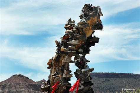 Image result for Shoe Tree Project