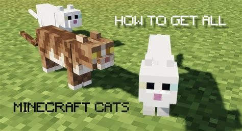 How To Get ALL Minecraft Cats And What They Do (Updated for 1.21)
