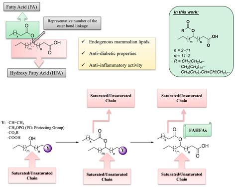 Construction of a Library of Fatty Acid Esters of Hydroxy Fatty Acids