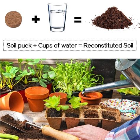 100% NEW,10PCS Coco Coir Soil Disk Expanding Coir Fiber Potting Soil ...