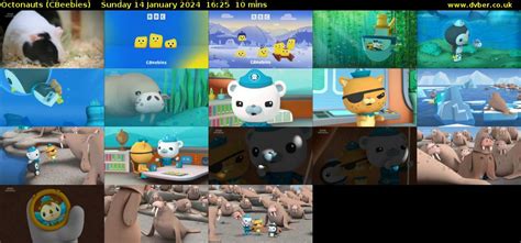 Image result for CBeebies Octonauts Promo 2024