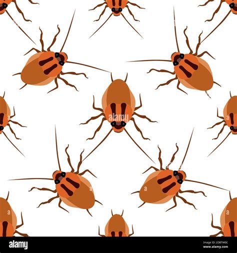 Seamless pattern cockroach on a white background. Cockroach beetle ...