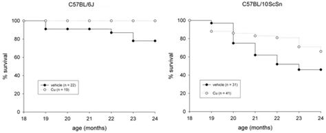 Chronic Systemic Curcumin Administration Antagonizes Murine Sarcopenia ...