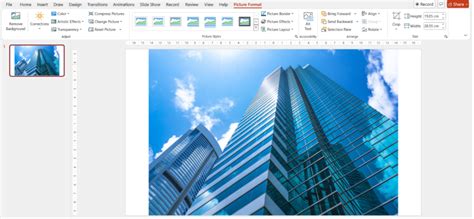 Image result for Stock Image Library PowerPoint