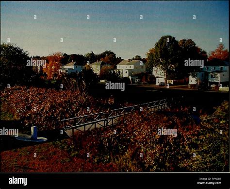 Stormwater wetland park hi-res stock photography and images - Alamy