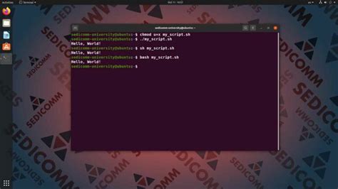 Ubuntu Exec Shell Skript 的图像结果