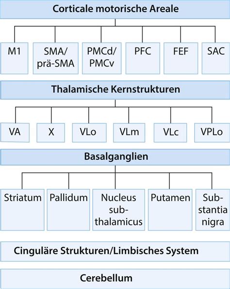 motorische Areale – Dorsch - Lexikon der Psychologie