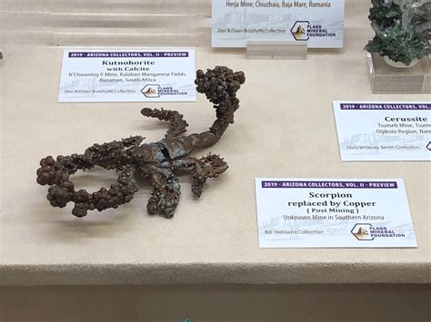 🔥 A Scorpion found in a mine that's turned into copper over time : r/NatureIsFuckingLit