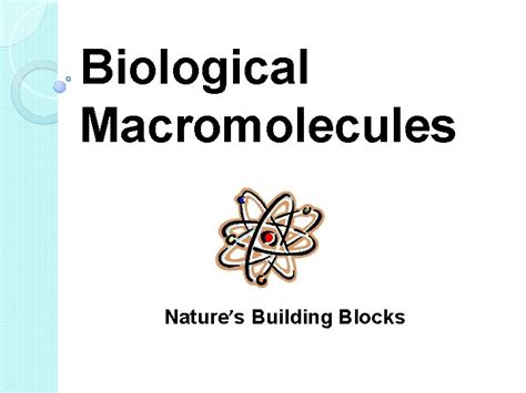 Image result for Macromolecules Building Blocks
