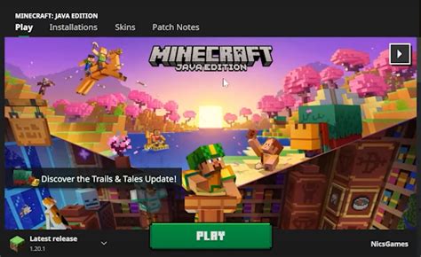 Image result for How to Download Minecraft Skin Pack Java