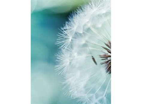 James Gary Piersall Obituary (2025) - Houston, TX - Minnehaha Funeral ...